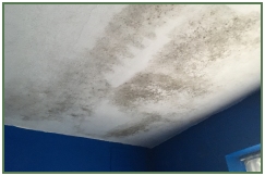 Advance Property Preservation | Condensation Services in London