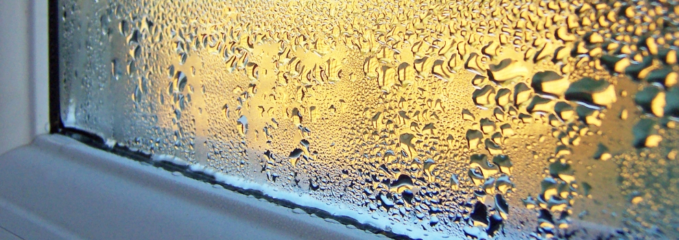  Professional & Reliable Condensation Control Solutions