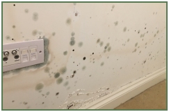 Advance Property Preservation | Condensation Services in London