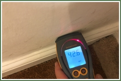 Advance Property Preservation | Damp Proofing Services in London